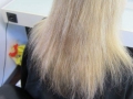 _Hairdreams_Haarverlaengerung_Bonn_Beispiele_Fotos_Vorher_Nachher_011